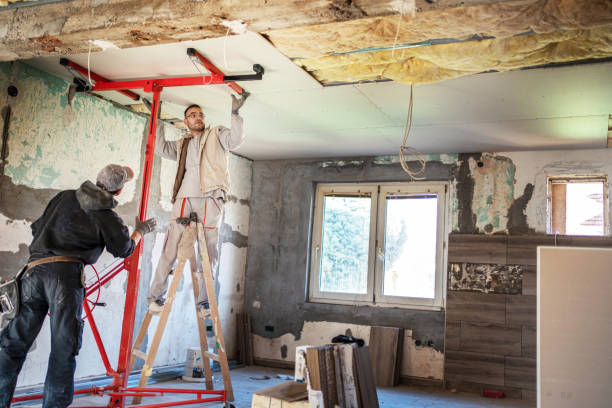 Insulation Repair Services in Brownsboro, TX
